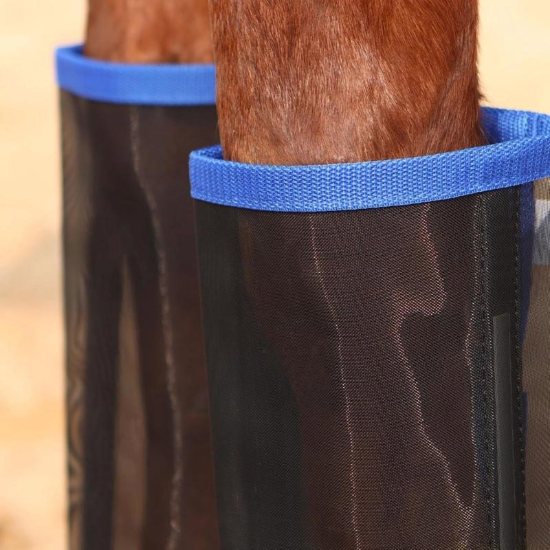 31BE Horse Fly Boot Protective - Brushing Boot Horse review and price