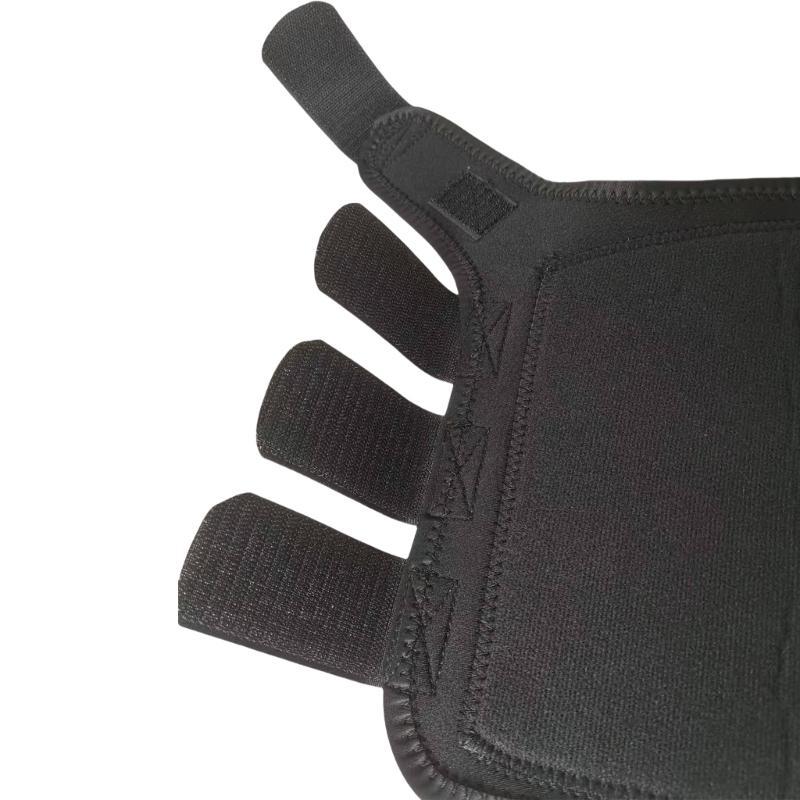 R6FE Neoprene Brushing Horse B - Brushing Boot Horse review and price