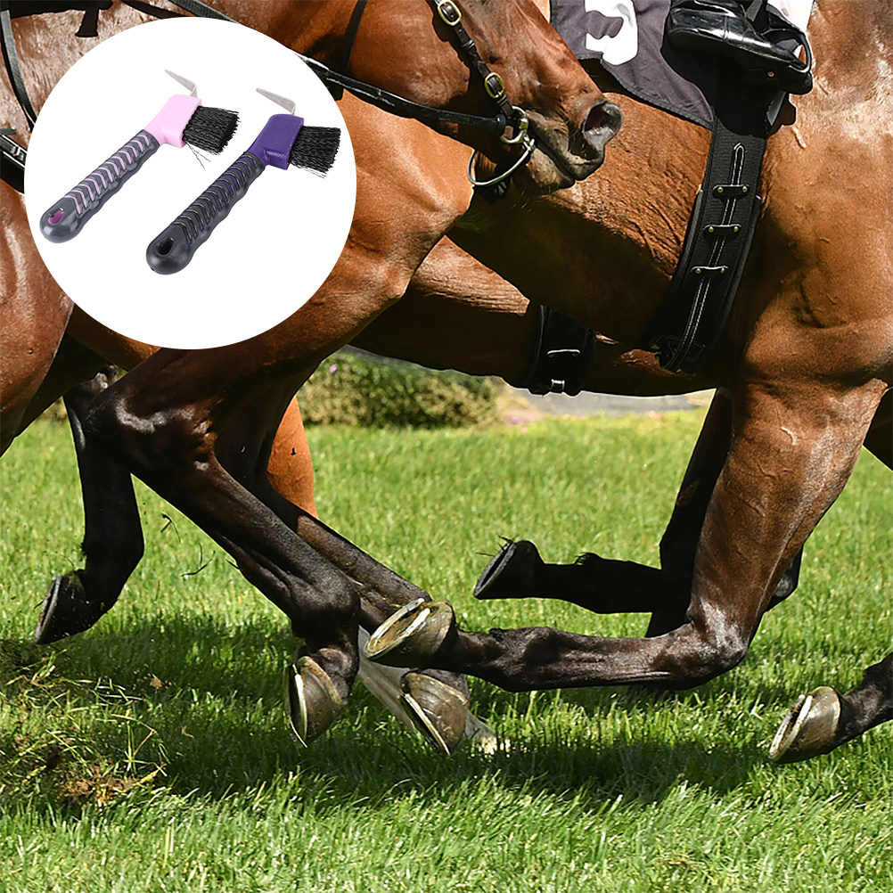 2Pcs Horse Hoof Pick Brush Rel - Brushing Boot Horse review and price