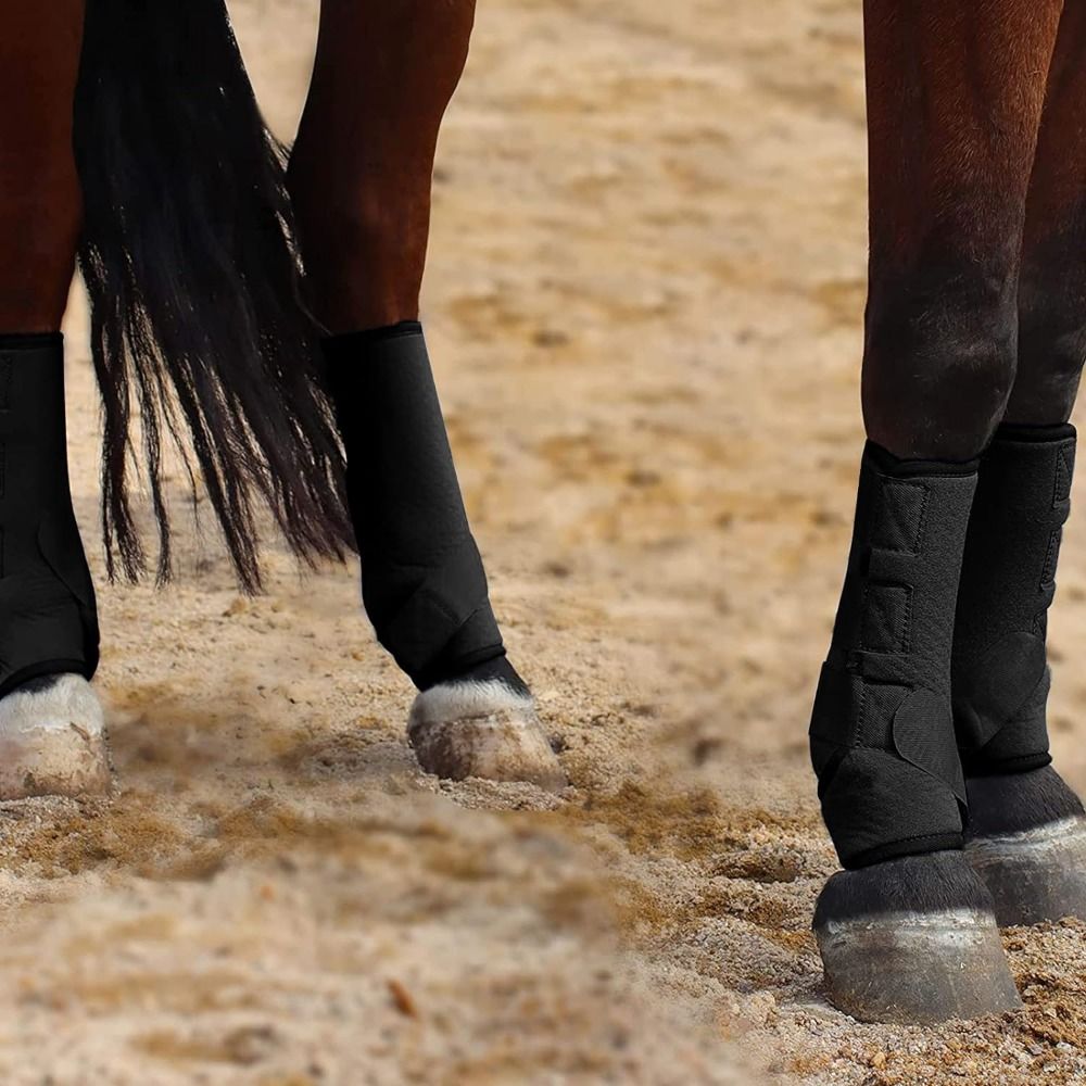 4pcs/set Colorful Horse Sport  - Brushing Boot Horse review and price