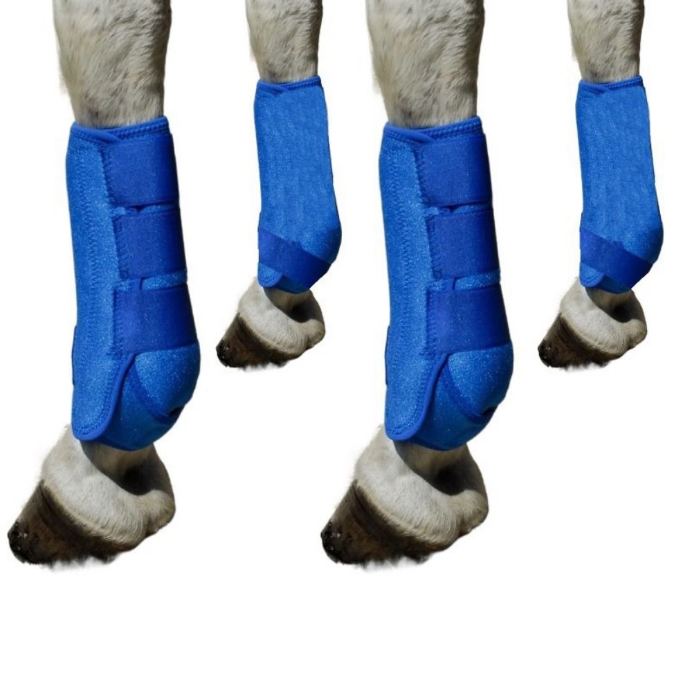 4pcs/set Colorful Horse Sport  - Brushing Boot Horse review and price
