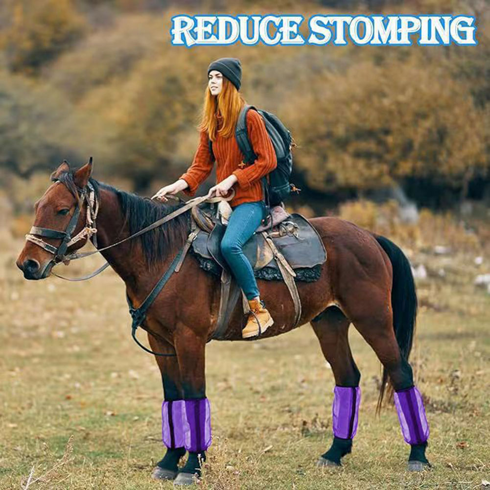 Stomp-Free Fly Boots For Horse - Brushing Boot Horse review and price