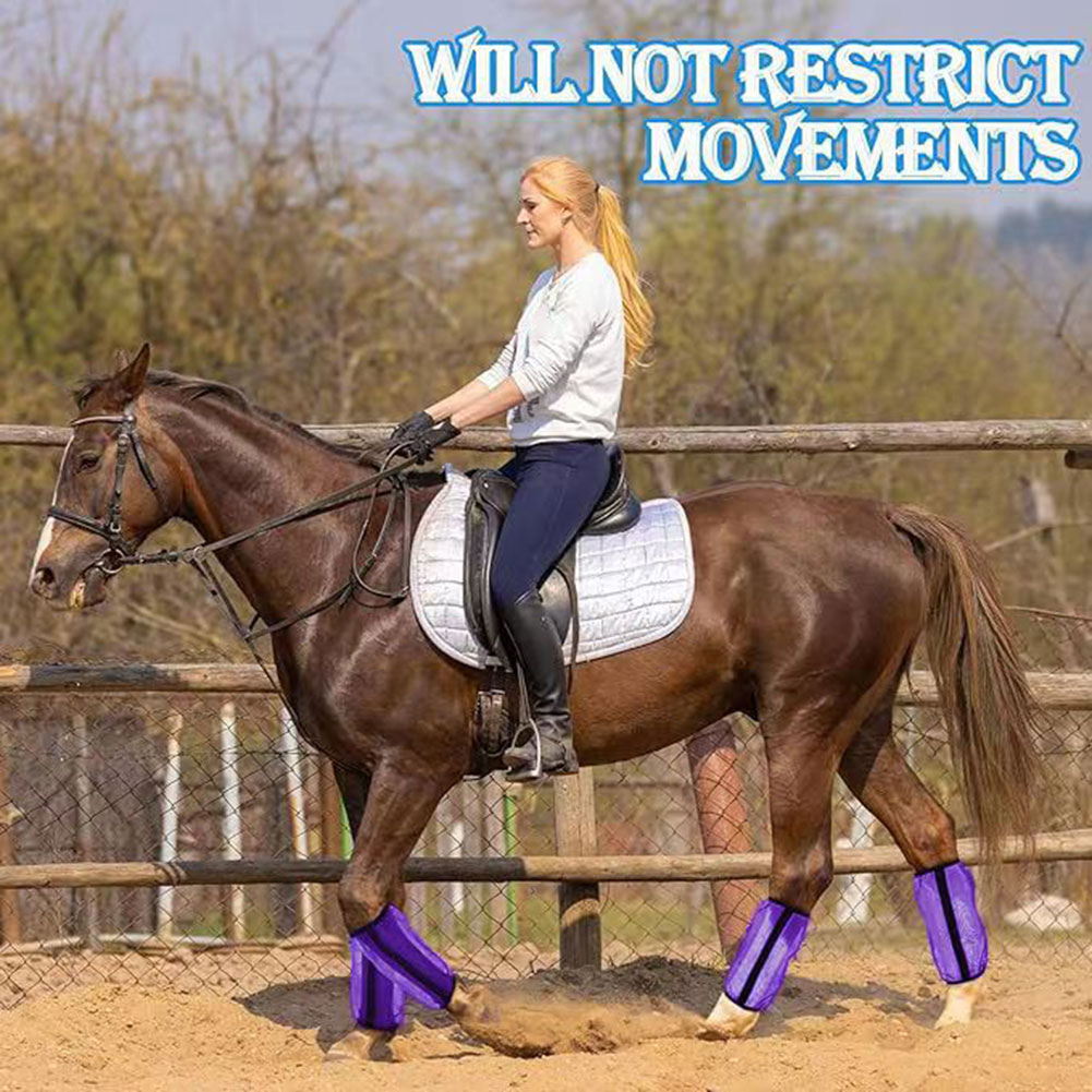 4Pcs Mesh Fly Boots For Horses - Brushing Boot Horse review and price